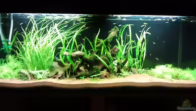 Raumteiler von Jens Hug