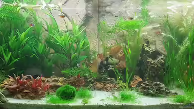 Red-Mountains von Chris-BluBB