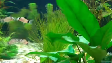 Rio 180 von Bjoern Wenzel