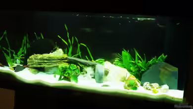 rio 180 von aqua fuchs