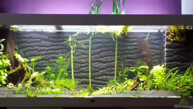 Rio 400 Black & White von sonic85