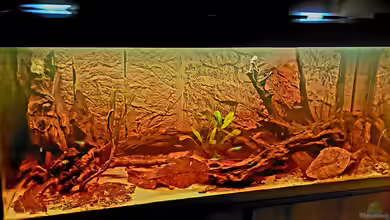 Río Napo Flussufer von NiRo