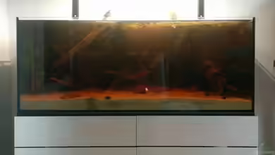 Rio Negro Totarm von xpate