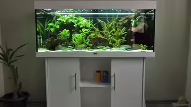 Rio Orinoco 2 von Patrick Lehmann