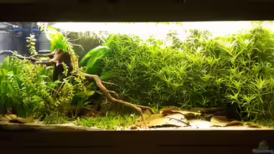 Rio Paraguay von mikeschchaos