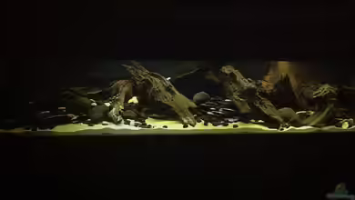 Rio Tapajós von matthiasm