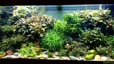 RIO-World von Volkmar1