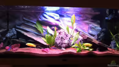 Rio180 von bbussmann