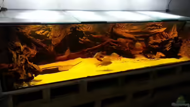 Rochenbecken von Juergen8