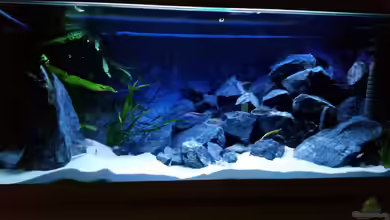 Rückkehrer als Malawi von redieh