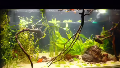 Ruheoase von Stefan E.