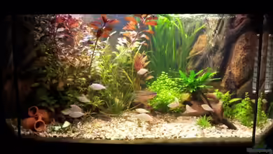 Rustikale Eckgestaltung...nur noch Beispiel von Michael Scheffler