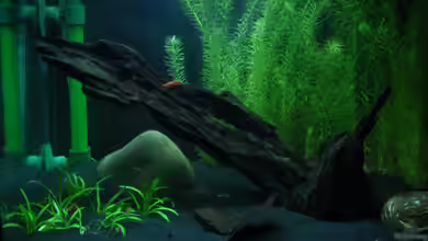 Sakura's World von cichlid15