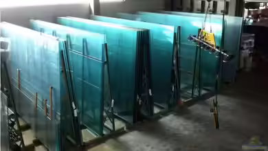 Salut Südamerika! von denticulatus