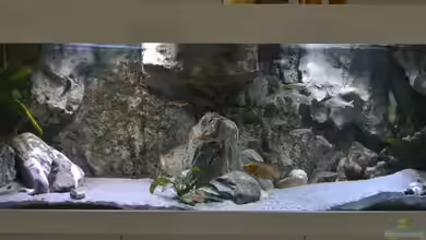 Sand & Steine von falleb