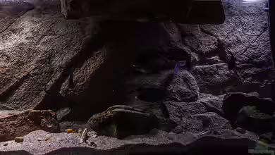 SandStorm "MDoka"-aufgelöst- von AjakAndi