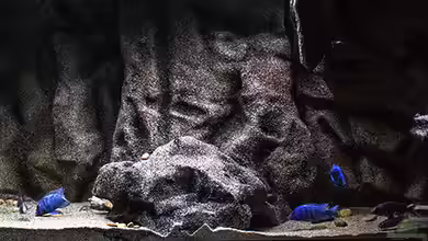 SandStorm "Tanzania"-aufgelöst- von AjakAndi