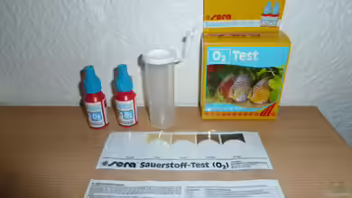 Sauerstoffgehalt im Aquarium messen - der umfassende Praxisleitfaden für Aquarianer