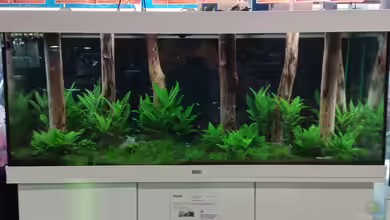 Schaubecken / Hornbach Weserpark von Torsten Bullmahn