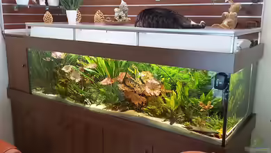 Schaubecken im Wohnzimmer von Frank Krüger