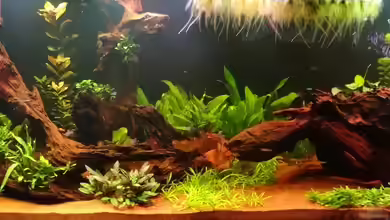 Schöne Aussicht im Wohnzimmer statt Urlaub von Memo