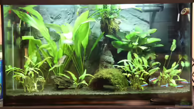 Schreibtischdschungel von Domenico W.