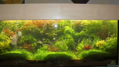 schwäbische Alb von rorchi