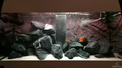 Scubabay Saulosi Artbecken von Hanse-Hannes