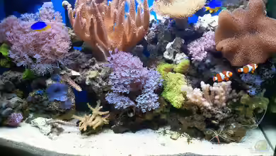 SeaWorld von Andreas Fleischer