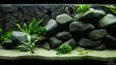 Second chance von Zerta