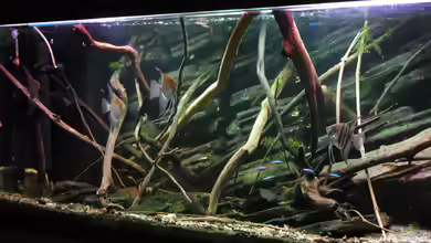 "Sedimentation"(umgebaut!) von der Theoretiker