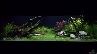 Shallow-River von Niederbayer_Andee