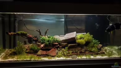 Shine of the Mountain von Jonas (Trancemania)