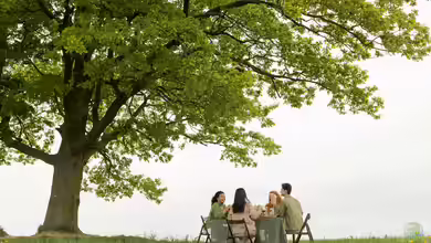 Sind Eichen für den Garten geeignet? Eigenschaften, Vorteile, Herausforderungen und praktische Erfahrungen