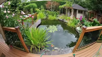 So kombinierst du einen Teich mit Gartenpflanzen in einem einzigen Design