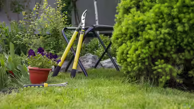 Sonntagsruhe im Garten: Das ist erlaubt - und das solltest du unbedingt beachten