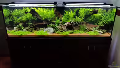 South Afrika Dream Scape von MalawiMartin