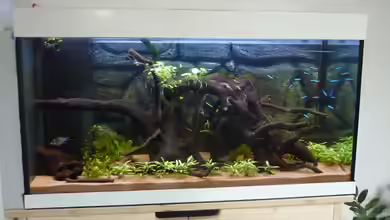 South Amerika from South Tyrol von basSman