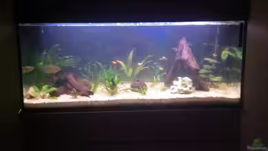 Spirit of Inspiration! von ActionJackson