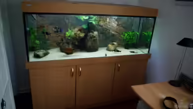 Standardbecken von Rutschkeaquaristik von Jens Beier