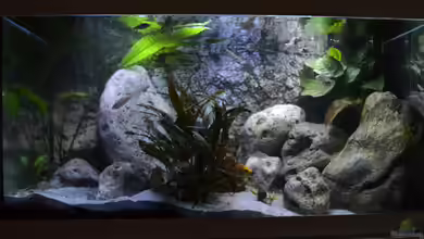 Steine & Sand von falleb