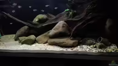 Stomschnelle in Brasilien von Fichte