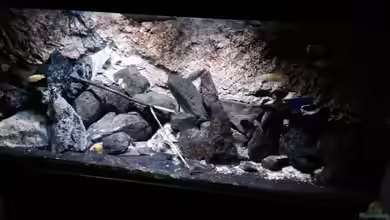 stone bay area (closed due!!!) von der Steirer