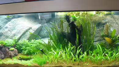 stone meets wood von ---Fischburger----