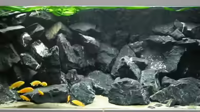 Stoneheaven von Manfred B.