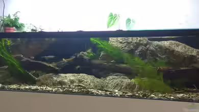 Strömungsbecken von pacho