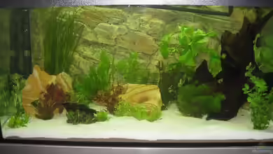 Südamerika 250l von Christian Dobler