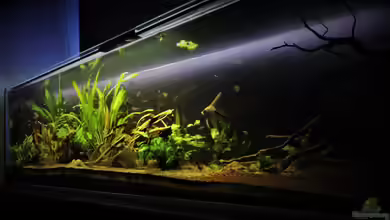 Südamerika 500L von Ragner