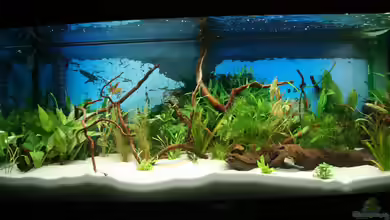 Südamerika Becken von Hunterkoile