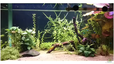 Südamerika Becken von Schnuppe